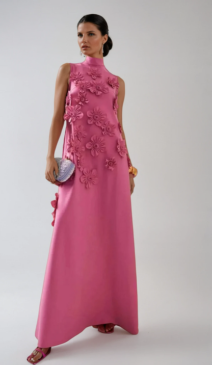 Lucy Applique Maxi Dress in Pink