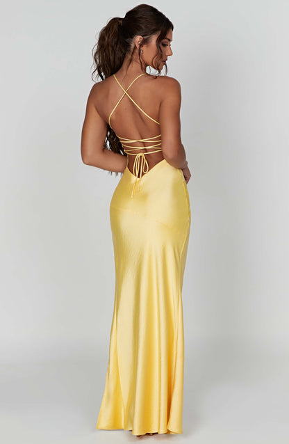 Women v neck maxi dress, back view